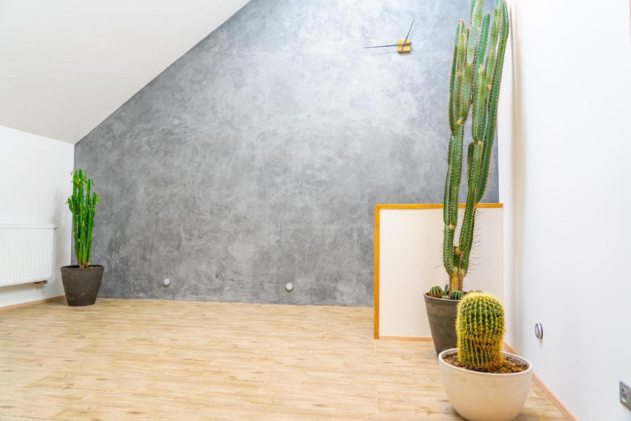 Apartmán ZA-KA 1 ubytování Litovel Cervenka Esterno foto
