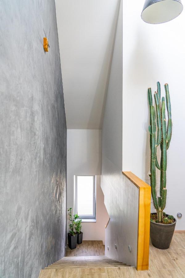 Apartmán ZA-KA 1 ubytování Litovel Cervenka Esterno foto